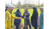برگزاری مراسم درختکاری توسط پژوهشکده محیط زیست